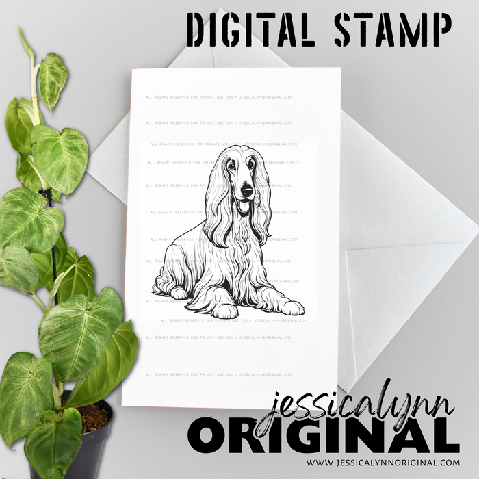 Instant Download - Afghan Hound Dog JessicaLynnOriginal Digital Stamp