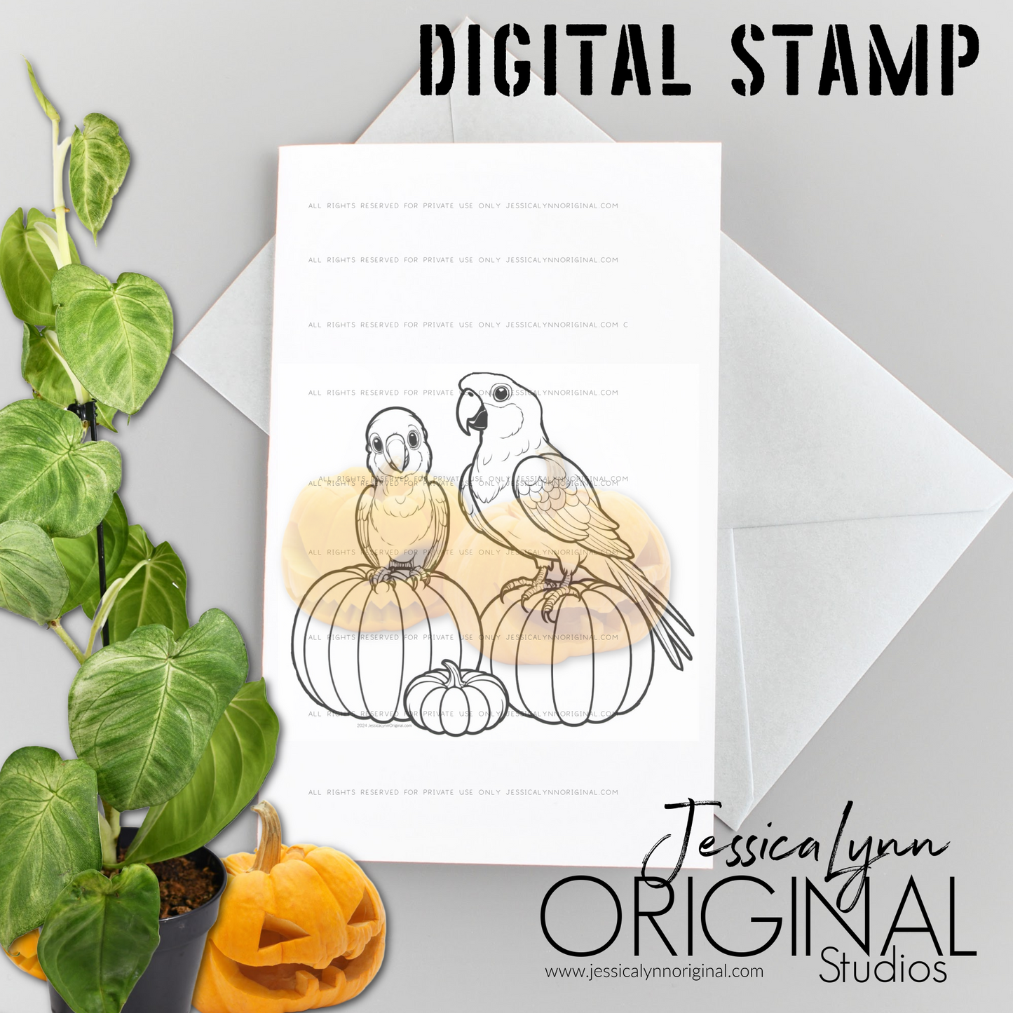 Instant Download - Parrot Bird Happy Halloween Pumpkins JessicaLynnOriginal Digital Stamp