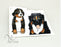 Bernese Mountain Dog ( Berner )  - 4x4 Photopolymer Stamp Set