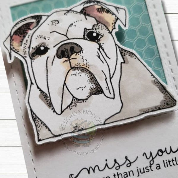 English British Bulldog 4x4 Clear Photopolymer Rubber Stamp Set